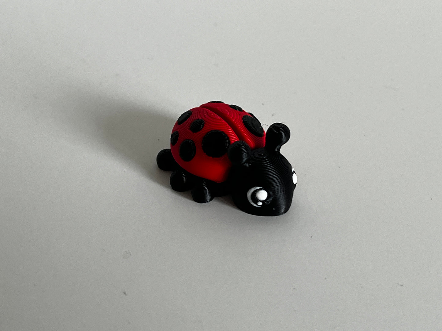 Dotty the Lucky Wanderer 🐞