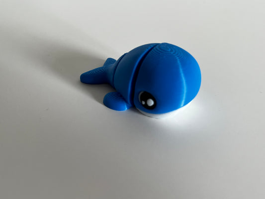 Marina the Dreamwhale 🐳